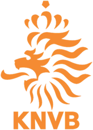 Символическая сборная Нидерландов в XXI веке