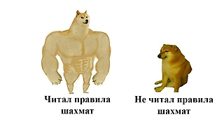 Вы не знаете правила шахмат!