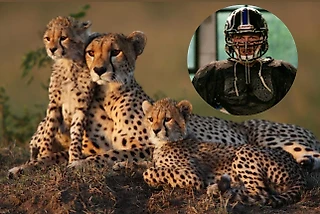 Неистово громко и слишком близко. Мы не слышим их, потому что не эволюционируем. Часть 7. Финал