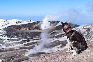 О парашютах, вулканах, медведях и хаски