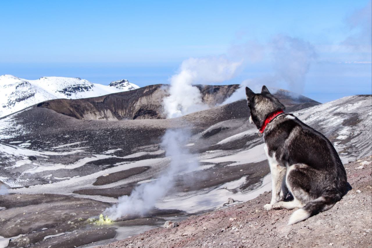 Фото публикации
