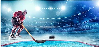 Итоги хоккейных турниров сезона 2023/24 в рамках блога FANTASY (КХЛ, Кубок Гагарина, НХЛ, Кубок Стэнли и ЧМ)