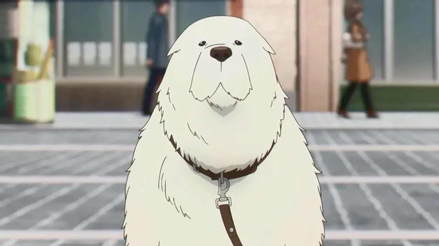 Имена персонажей из аниме Семья шпионов