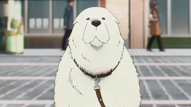 Имена персонажей из аниме Семья шпионов