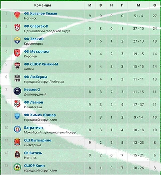 Чемпионат Москвоской области по футболу ( 3 лига).
