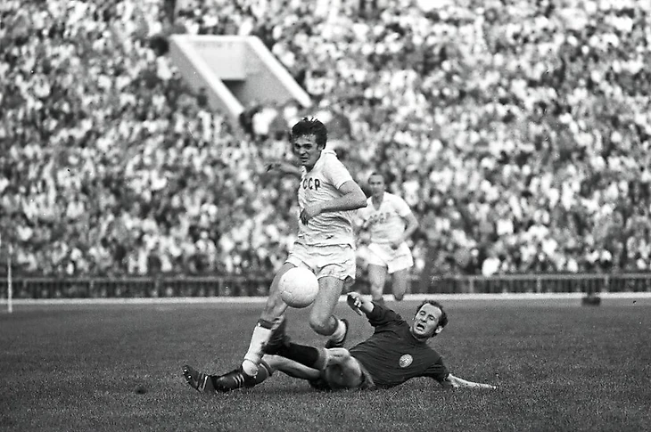 Виталий Шевченко