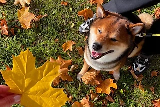 Неистово громко и слишком близко. Мы не слышим их, потому что не эволюционируем. Часть 5