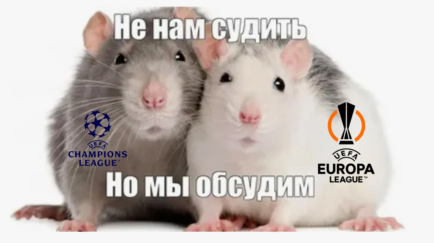 media