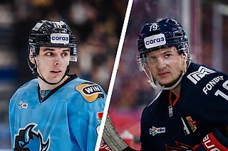 Битва лидеров: почему я очень жду матч минского «Динамо» и «Металлурга»?