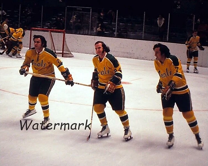 Nhl ранние 70-е годы 20 века Калифорния Голден силз предварительно игра теплая цвет 8 X 10 фото - Изображение 1 из 1