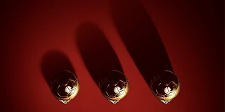 The Yashin Award и спонсоры