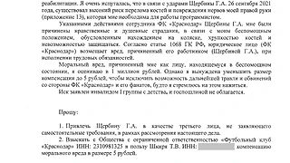 Татьяна Шкиря подала иск в суд против ФК «Краснодар» о компенсации морального вреда