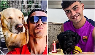 🐶 Сегодня Всемирный день благодарности собаке! А футболисты обожают их 😍