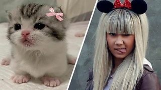 «Что случилось котенок?» Новый милый тренд под песню «Давай со мной за звездами»