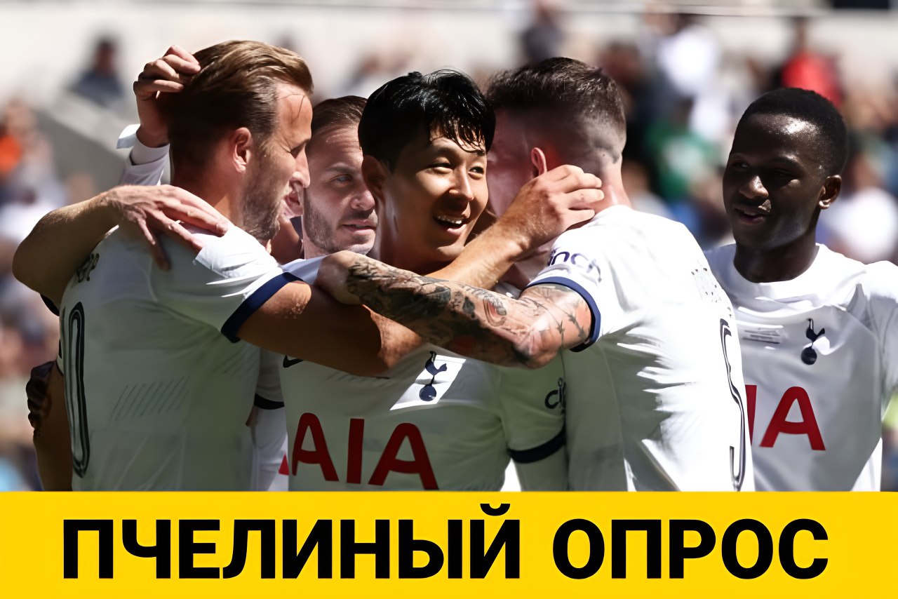 Пчелиный Вопрос. Перед матчем с Тоттенхэмом
