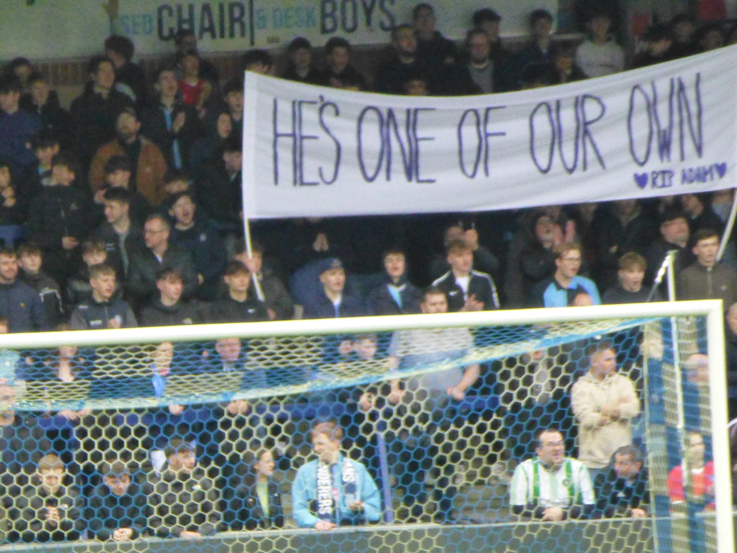 Fan's view no.37/1