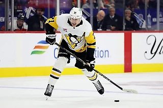 Малкин помещён в список травмированных