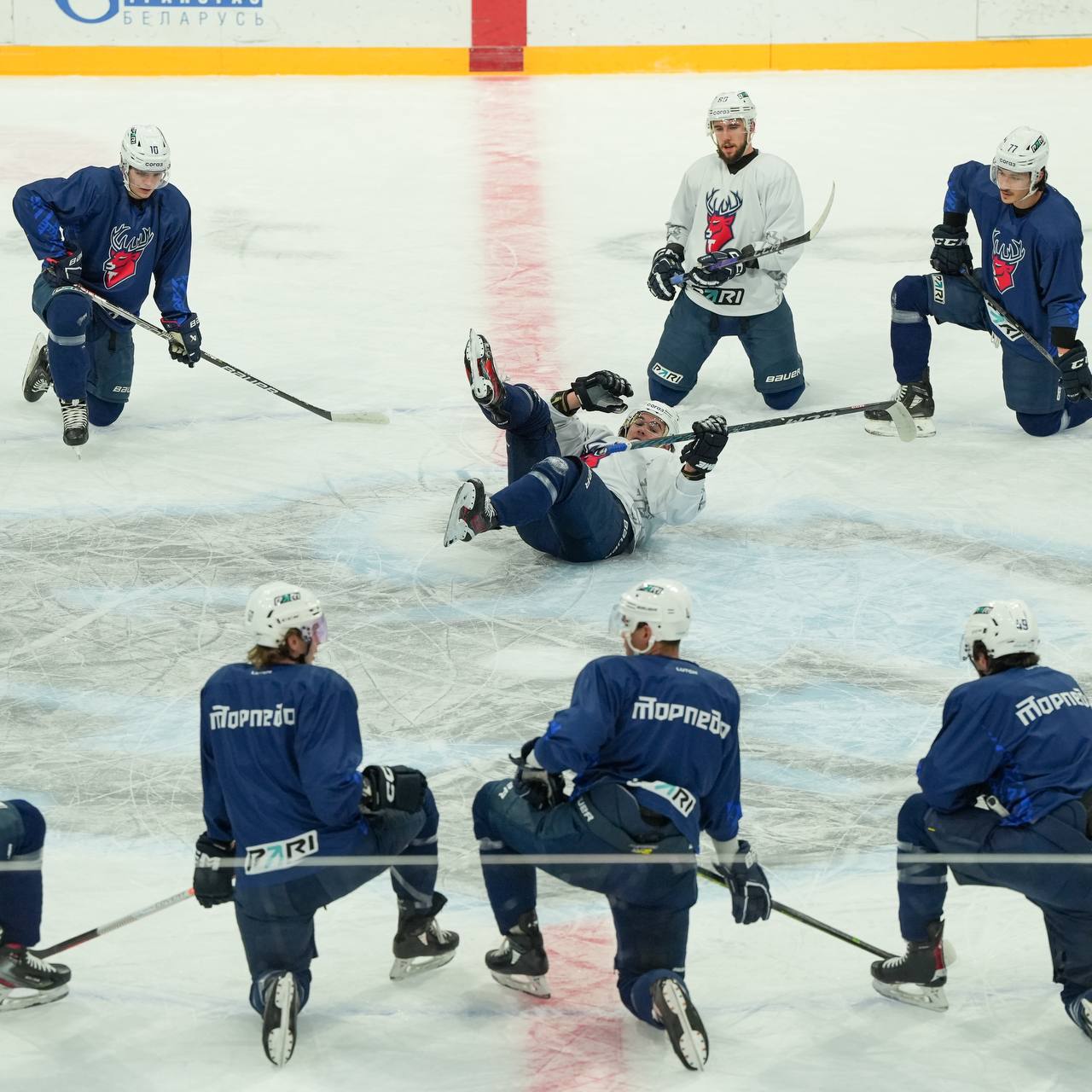 Системный сбой Торпедо