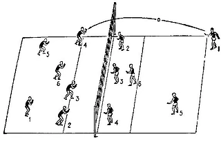 Волейбольная расстановка для чайников: инструкция с визуализацией