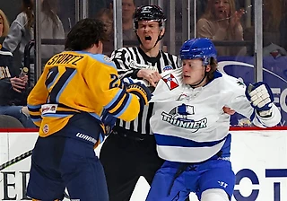 ECHL: суровая реальность низших лиг