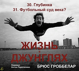 Брюс Гроббелар. «Жизнь в джунглях. Автобиография» 30. Глубинка; 31. Футбольный суд века?