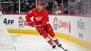 Извечные ресурсы: «Детройт» находит изумруды даже в АХЛ. Пострадал сам Овечкин!