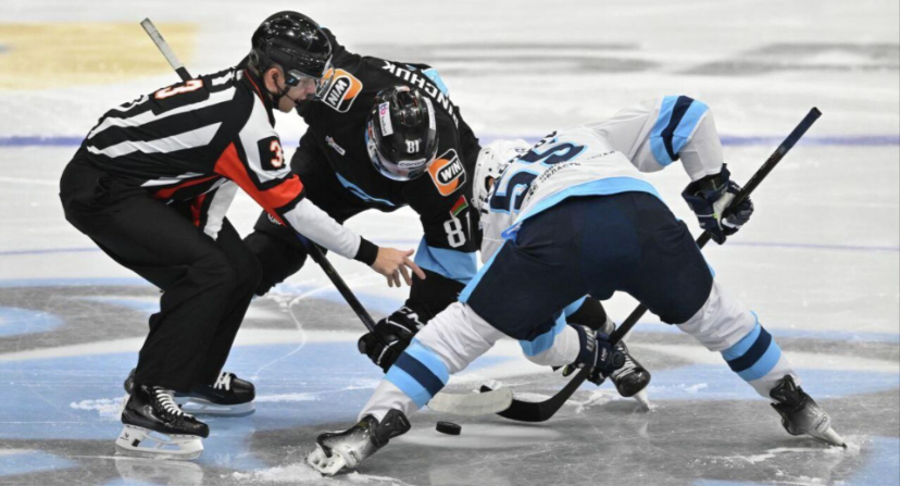 «Что ни день, то рекорд – смута на пороге у Новосибирска»