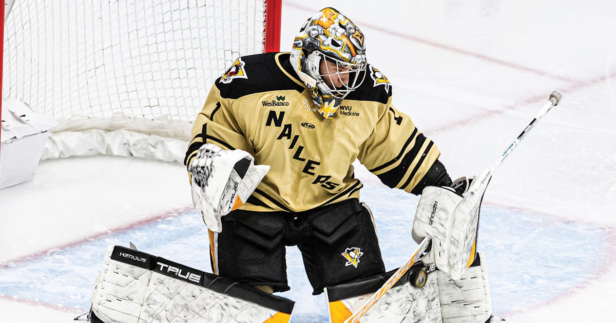 Official Site of The ECHL | Wheeling's Murashov named Howie's Hockey Tape ECHL Rookie of the Month