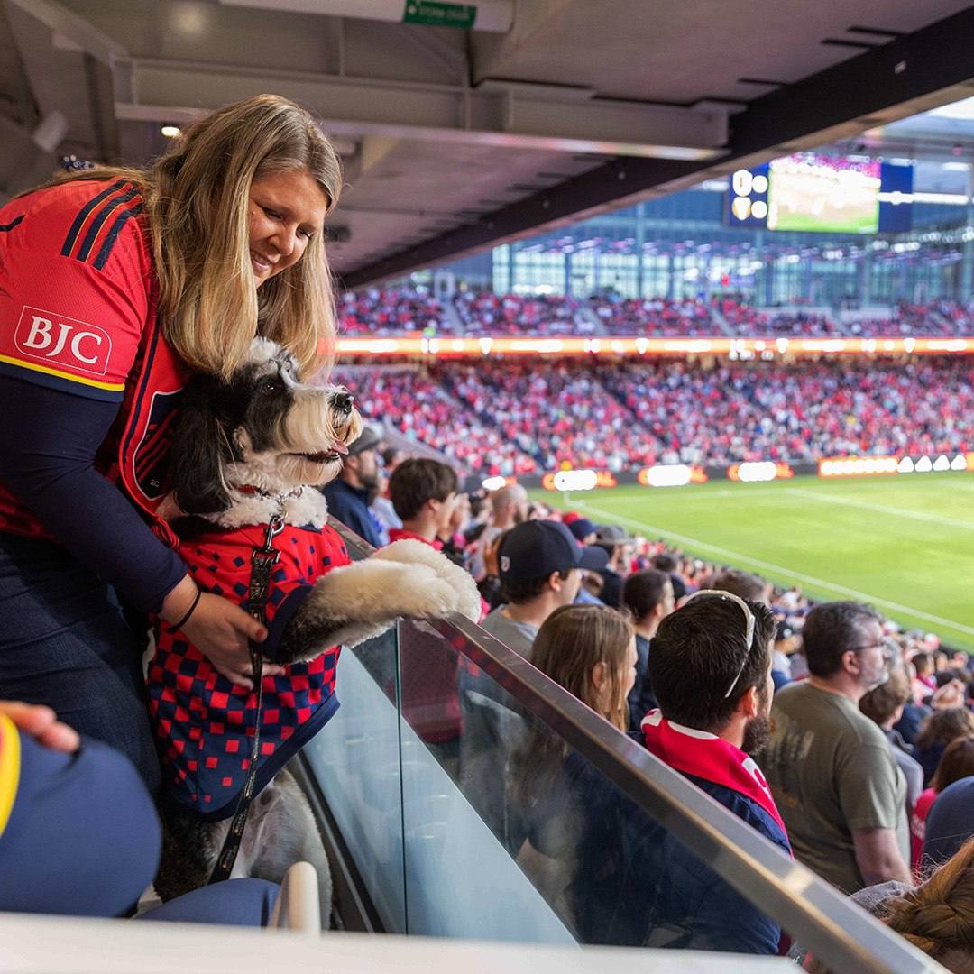 Большие дела для братьев меньших. Как спортивные клубы помогают животным