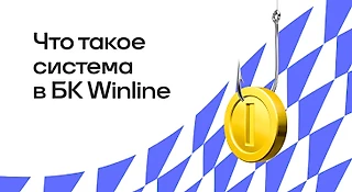 Что такое система в БК WINLINE и как ее поставить