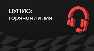 Горячая линия ЦУПИС: как и когда ею пользоваться