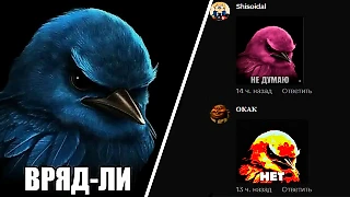 Неуверенные птицы в комментариях: что за новый мем и как появился