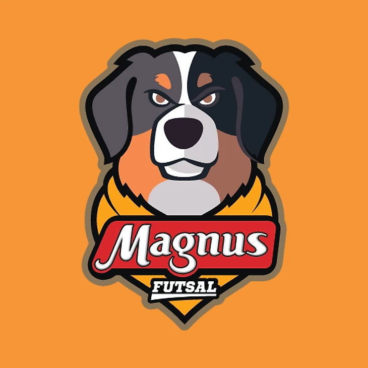 Приложения в Google Play – Magnus Futsal