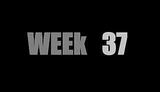 Итоги 37 недели