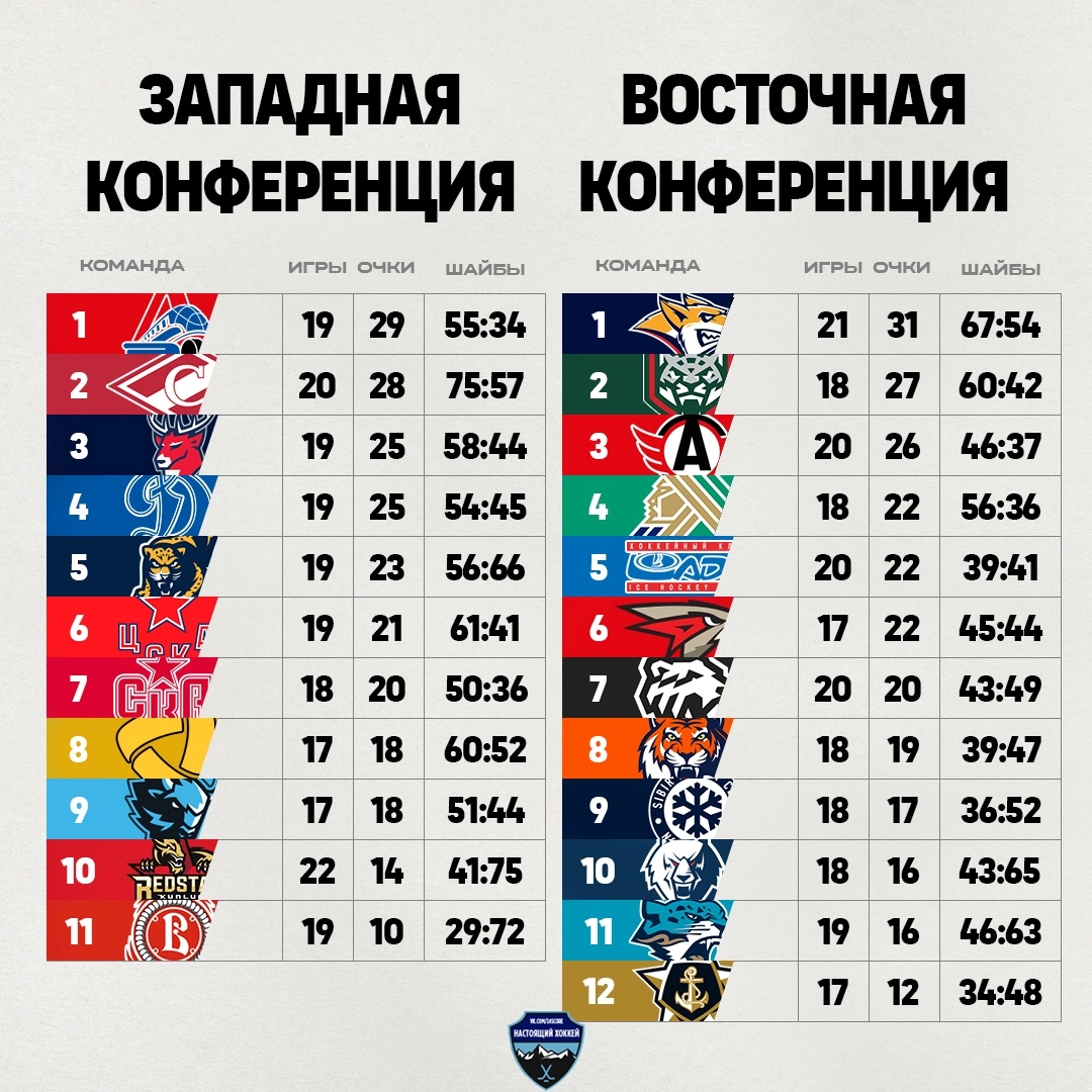 Витязь, КХЛ