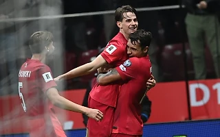 Шаг вперед сделан. Польша 1:1 Нидерланды