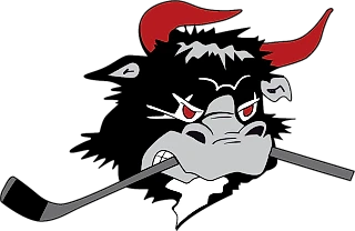 Ставки на 17 ноября