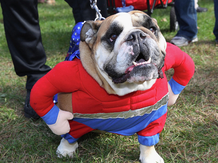 Ставки на сегодня, Ставки на футбол, Ставки на спорт