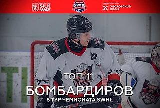 Рейтинг бомбардиров - 8 тур Чемпионата SWHL
