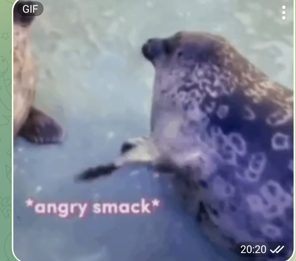 Мемы читателей, Мемы про животных