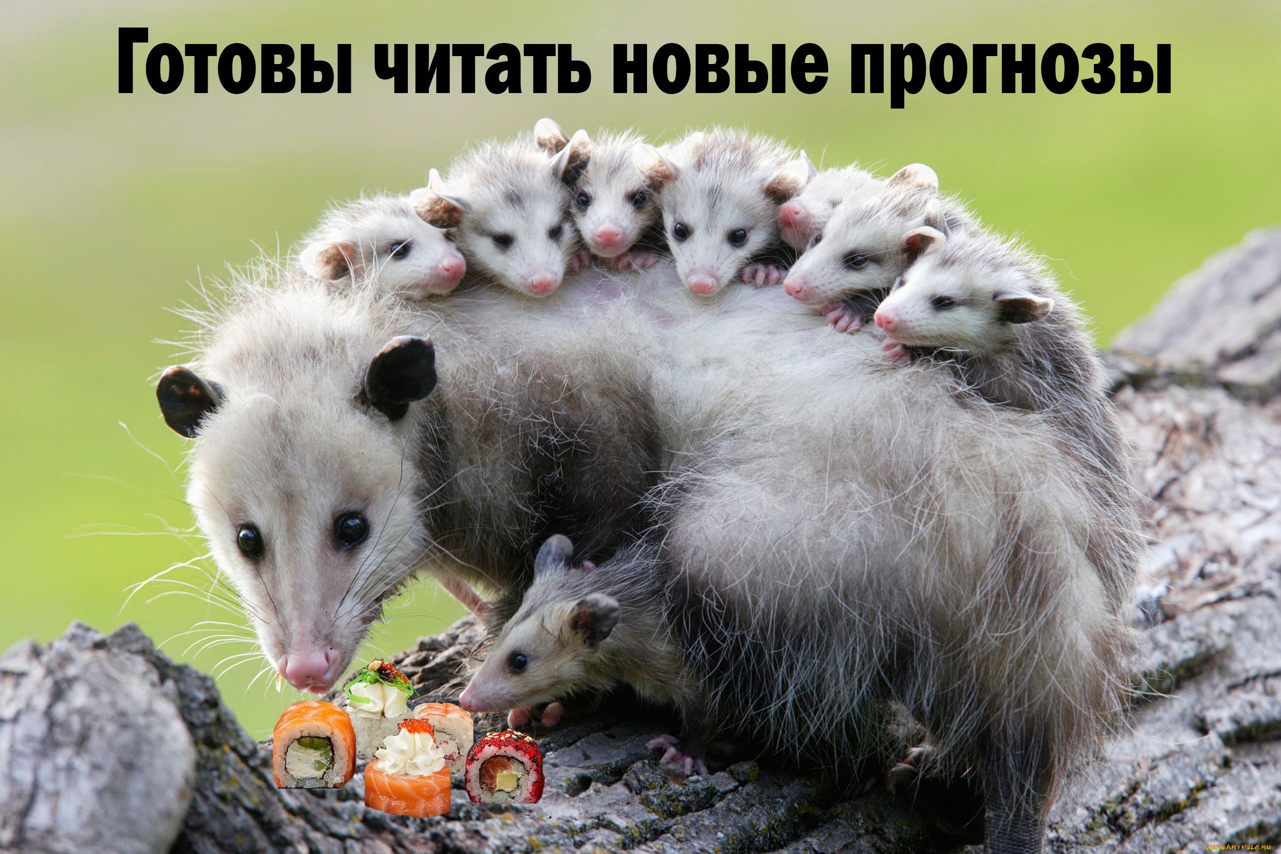 Прогнозы на РПЛ. 24 тур