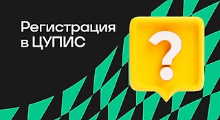 Регистрация в ЦУПИС: как пройти