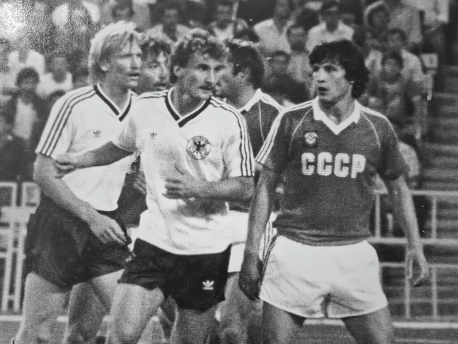 Геннадий Морозов